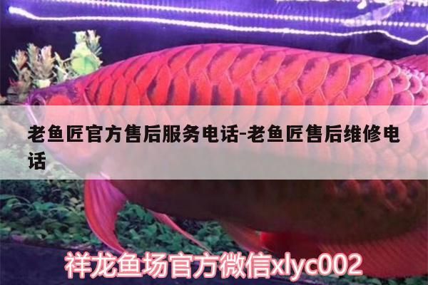 老魚匠官方售后服務電話:老魚匠售后維修電話
