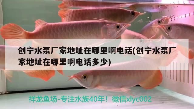 創寧水泵廠家地址在哪里啊電話(創寧水泵廠家地址在哪里啊電話多少) 創寧水泵廠家地址在哪里啊電話(創寧水泵廠家地址在哪里啊電話多少) 創寧水族