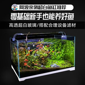 2米長的魚缸養幾條金龍：一個2米長的魚缸養幾條金龍魚合適