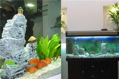 買10cm小錦鯉好養嗎？全面解析飼養技巧與注意事項，10cm小錦鯉好養嗎？飼養技巧與注意事項全解析