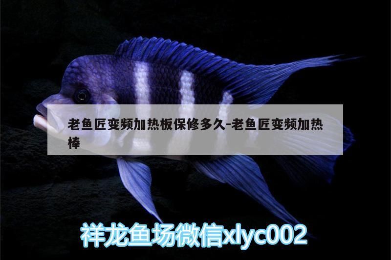 老魚匠變頻加熱板保修多久:老魚匠變頻加熱棒