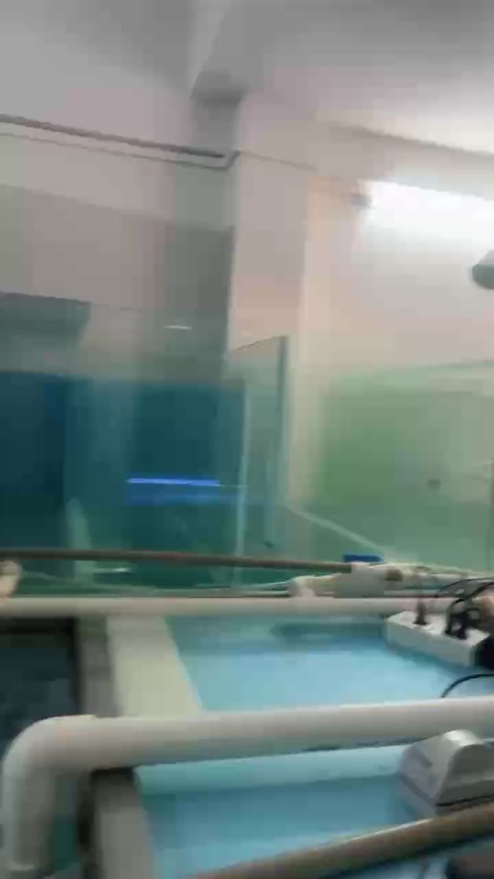 龍魚干蝦有營養嗎 一個月洗一次 龍魚論壇 一個月洗一次 一個月洗一次 龍魚論壇