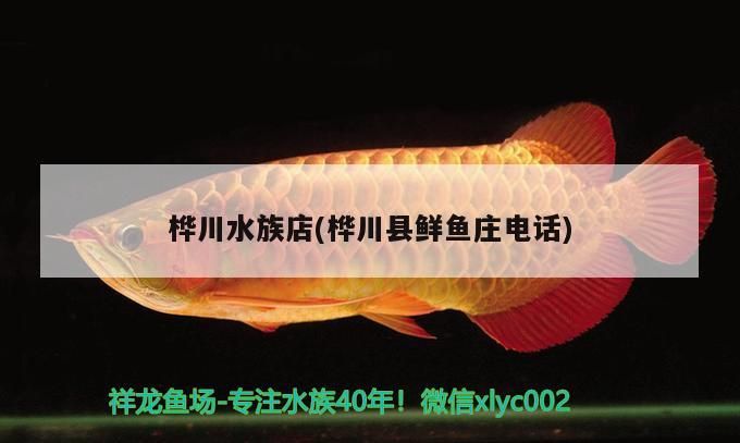 樺川水族店(樺川縣鮮魚莊電話) 樺川水族店(樺川縣鮮魚莊電話) iwish愛唯希品牌魚缸