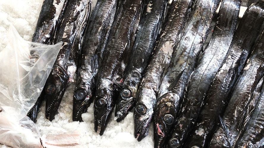 營口市鲅魚圈區熊岳萬里花卉店