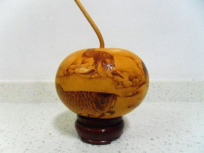 龍魚身上有白點怎么治vs祥龍魚場：如何改善龍魚生活環境，龍魚常見疾病及防治方法