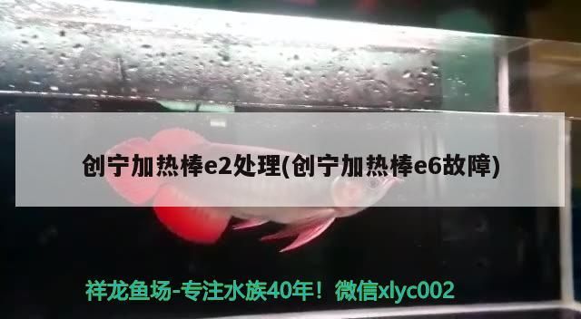 創寧加熱棒e2處理(創寧加熱棒e6故障) 創寧加熱棒e2處理(創寧加熱棒e6故障) 創寧水族