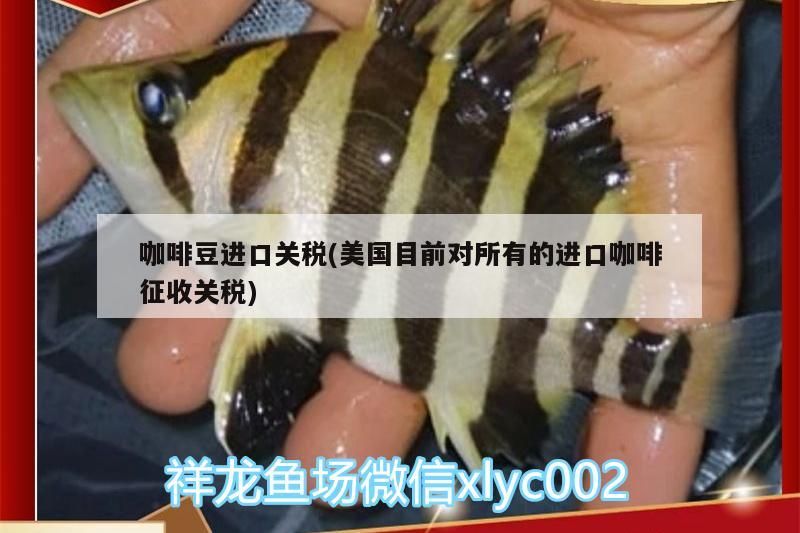 咖啡豆進(jìn)口關(guān)稅(美國(guó)目前對(duì)所有的進(jìn)口咖啡征收關(guān)稅)