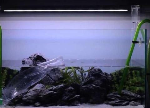創寧變頻水泵怎么調檔位的（創寧變頻水泵怎么調檔位的啊） 創寧變頻水泵怎么調檔位的（創寧變頻水泵怎么調檔位的啊） 創寧水族
