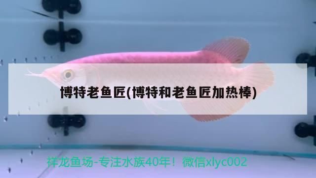 錦鯉魚 博特老魚匠(博特和老魚匠加熱棒) 博特水族 博特老魚匠(博特和老魚匠加熱棒) 博特老魚匠(博特和老魚匠加熱棒) 博特水族
