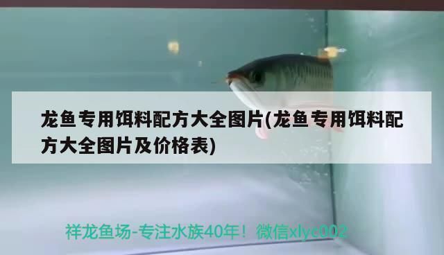 龍魚食物飼料配方大全vs祥龍魚場：龍魚食物飼料配方大全 龍魚食物飼料配方大全vs祥龍魚場：龍魚食物飼料配方大全 vs祥龍魚場 第4張