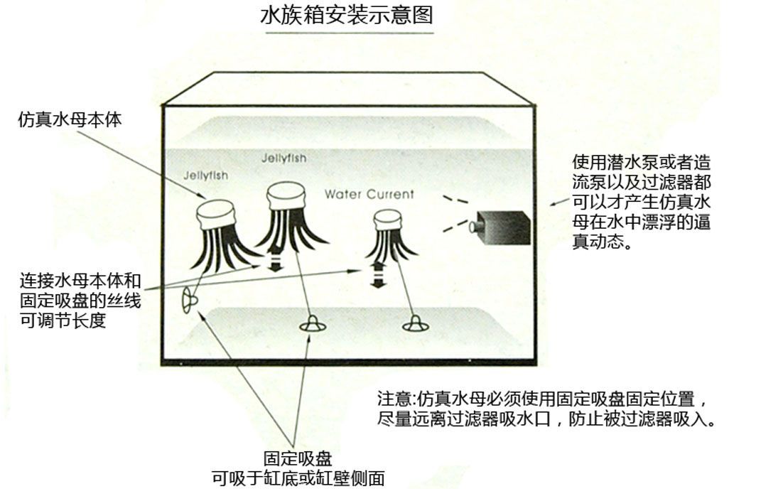 魚缸過濾器怎樣安裝潛水泵視頻講解圖，潛水泵與過濾器連接技巧 魚缸過濾器怎樣安裝潛水泵視頻講解圖，潛水泵與過濾器連接技巧 魚缸百科 第5張