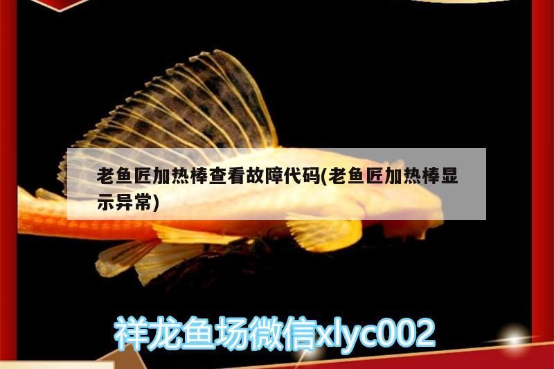 老魚匠加熱棒查看故障代碼(老魚匠加熱棒顯示異常) 老魚匠加熱棒查看故障代碼(老魚匠加熱棒顯示異常) 老魚匠