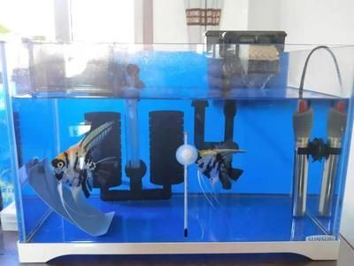 1號水族魚缸使用說明書圖解：水族魚缸使用和維護文字說明書，魚缸使用和維護方法