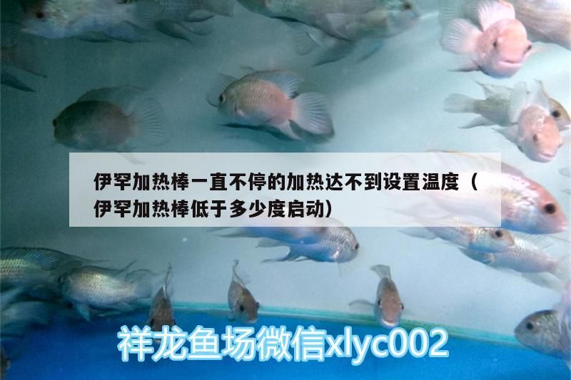 伊罕加熱棒一直不停的加熱達不到設置溫度（伊罕加熱棒低于多少度啟動）