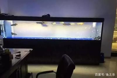 35寬魚缸養(yǎng)金龍 35寬魚缸養(yǎng)金龍 魚缸百科 第4張