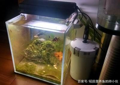 過濾桶濾材放置（過濾桶材質解析）
