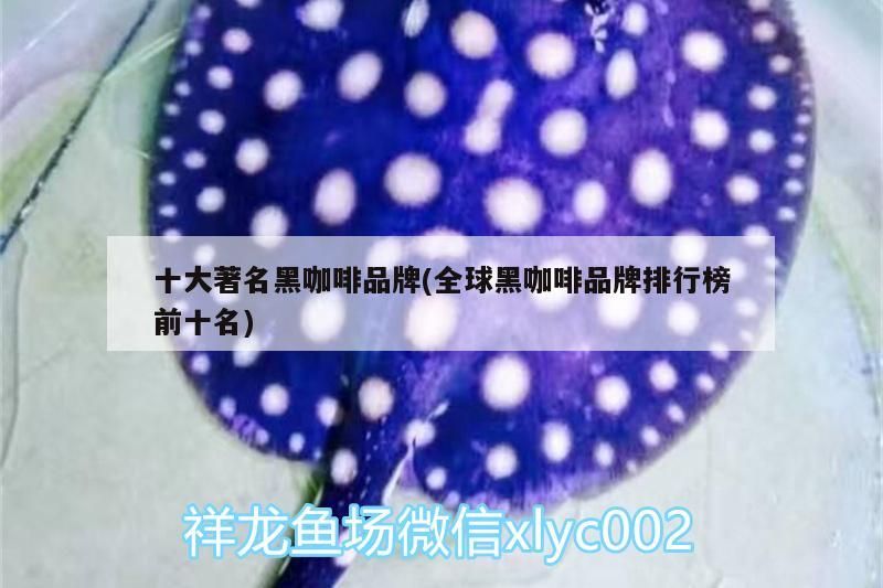 十大著名黑咖啡品牌(全球黑咖啡品牌排行榜前十名) 十大著名黑咖啡品牌(全球黑咖啡品牌排行榜前十名) 馬來西亞咖啡