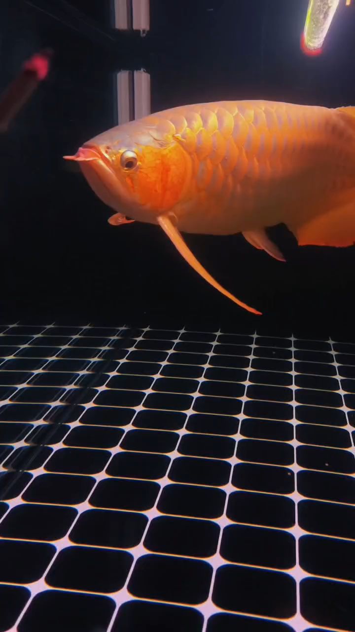 睡不著