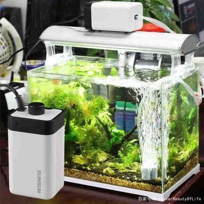 魚缸增氧泵聲音太大了，如何選擇低噪音增氧泵品牌？