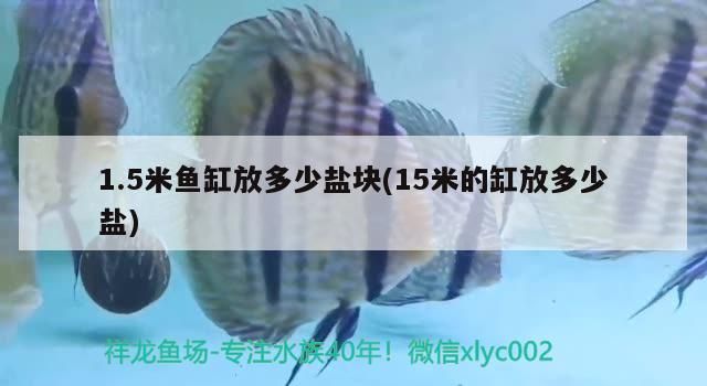 1.5米魚缸放多少鹽塊(15米的缸放多少鹽) 1.5米魚缸放多少鹽塊(15米的缸放多少鹽) 觀賞魚百科