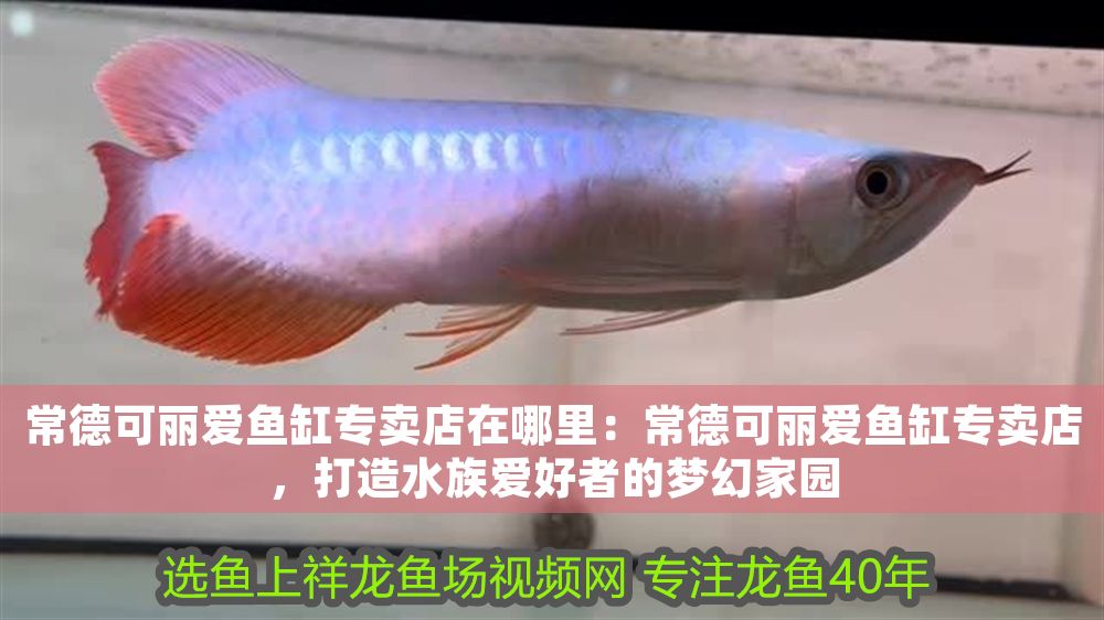 常德可麗愛魚缸專賣店在哪里：常德可麗愛魚缸專賣店，打造水族愛好者的夢幻家園 常德可麗愛魚缸專賣店在哪里：常德可麗愛魚缸專賣店，打造水族愛好者的夢幻家園 iwish愛唯希品牌魚缸 第1張