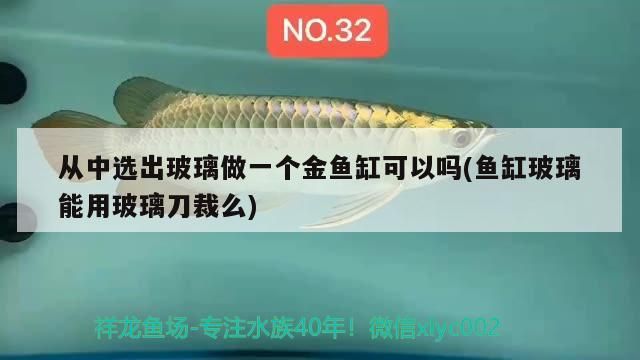 從中選出玻璃做一個(gè)金魚缸可以嗎(魚缸玻璃能用玻璃刀裁么) 從中選出玻璃做一個(gè)金魚缸可以嗎(魚缸玻璃能用玻璃刀裁么) iwish愛唯希品牌魚缸