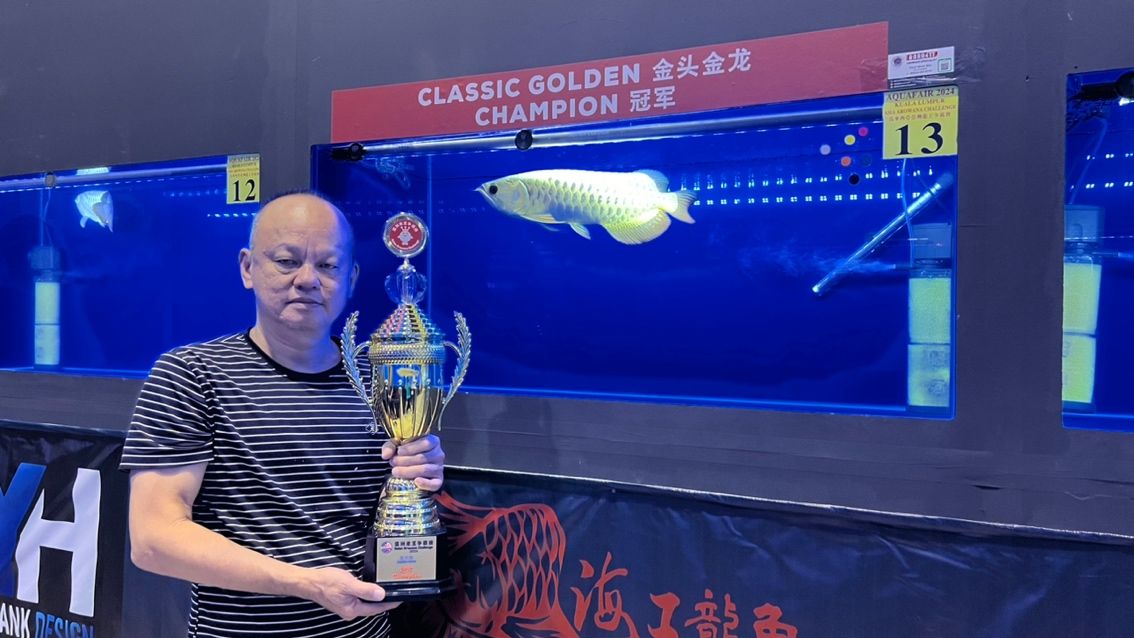 爭霸賽 爭霸賽 龍魚論壇 第3張