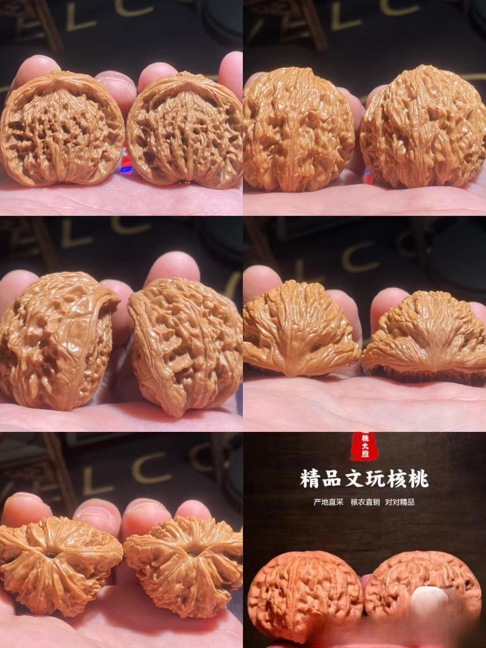 麥穗虎頭出品，聚寶盆