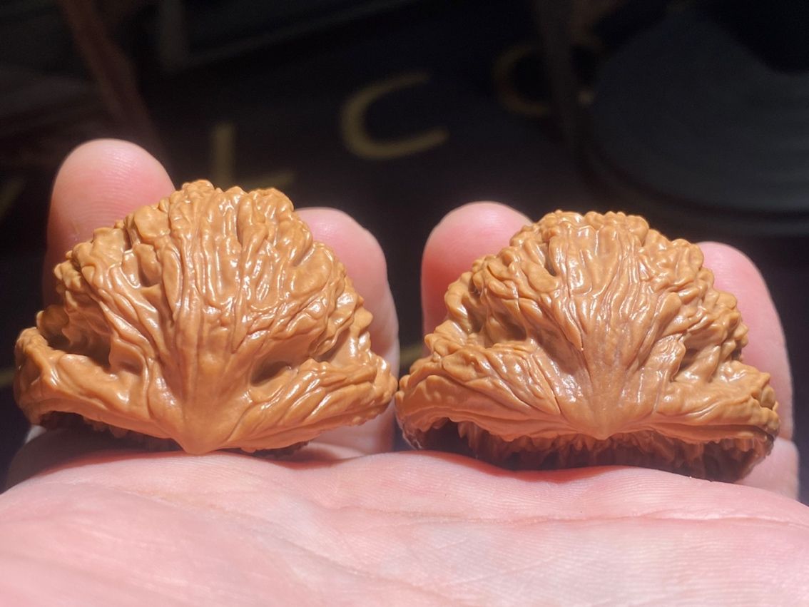 麥穗虎頭出品，聚寶盆