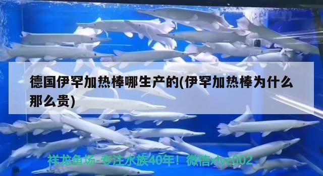德國伊罕加熱棒哪生產的(伊罕加熱棒為什么那么貴)