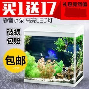 60魚缸適合養什么魚水不會臟：60厘米魚缸適合養什么魚 60魚缸適合養什么魚水不會臟：60厘米魚缸適合養什么魚 魚缸百科 第1張