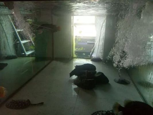cad畫魚缸三d圖：在cad中畫出魚缸的三維圖