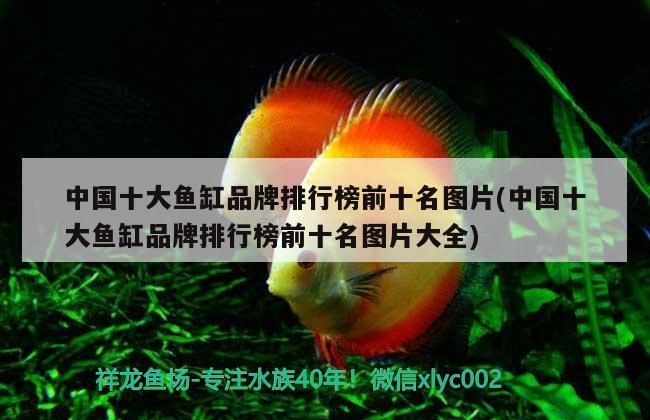中國十大魚缸品牌排行榜前十名圖片(中國十大魚缸品牌排行榜前十名圖片大全) 中國十大魚缸品牌排行榜前十名圖片(中國十大魚缸品牌排行榜前十名圖片大全) iwish愛唯希品牌魚缸