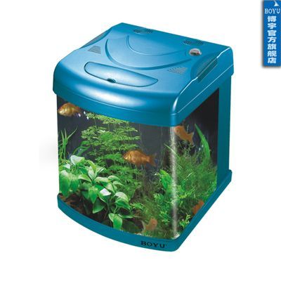 雷龍魚腹水會自愈嗎，雷龍魚腹水能徹底治愈嗎