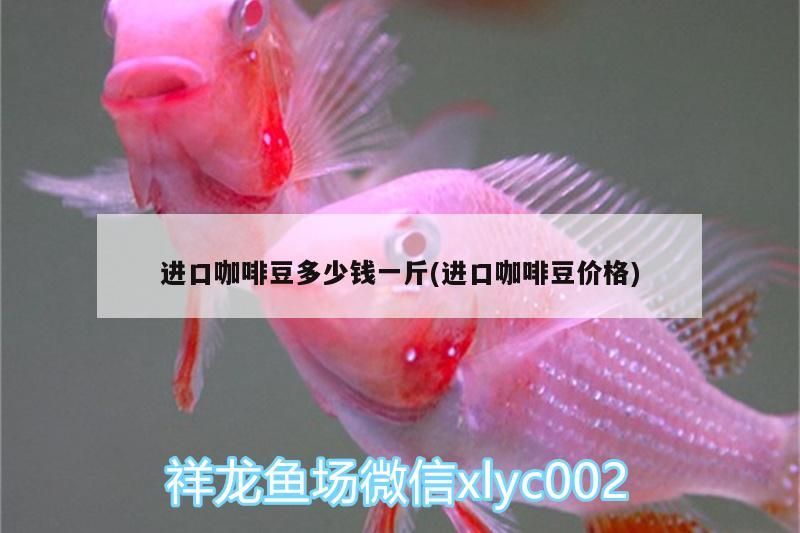 進(jìn)口咖啡豆多少錢一斤(進(jìn)口咖啡豆價(jià)格)