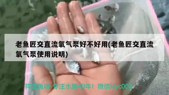 老魚匠交直流氧氣泵好不好用(老魚匠交直流氧氣泵使用說明) 老魚匠交直流氧氣泵好不好用(老魚匠交直流氧氣泵使用說明) 老魚匠