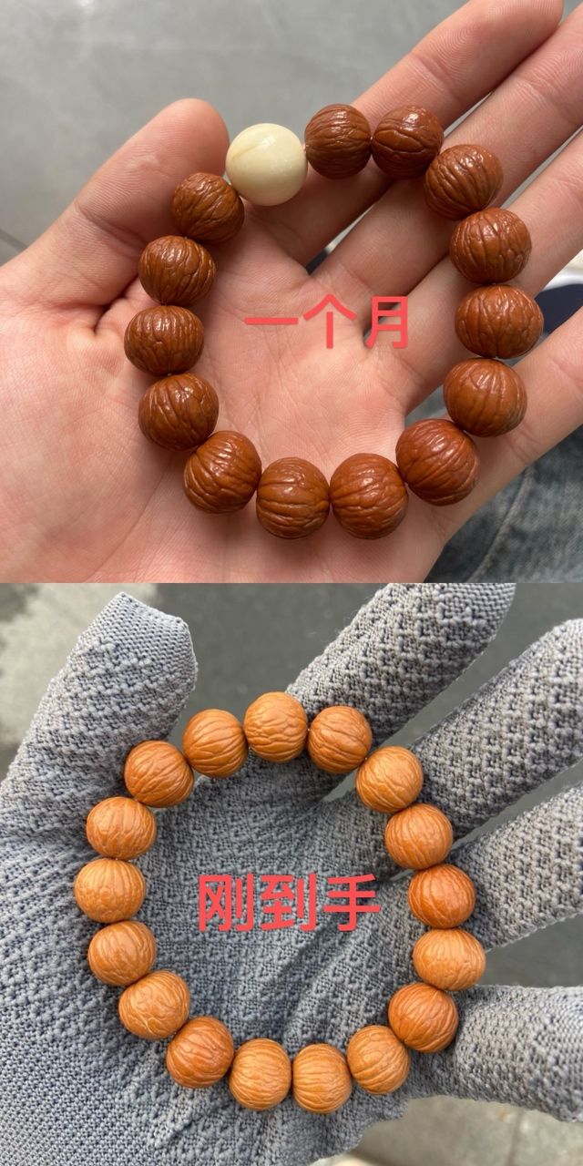 魚缸用增氧泵價格是多少:魚缸增氧機-xtrac增氧機-xtrac增氧機 猴頭紅的真快啊 龍魚論壇 猴頭紅的真快啊 猴頭紅的真快啊 龍魚論壇