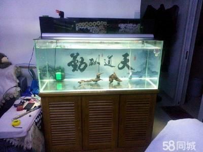 1米2的魚缸怎么造景呢：1米2的魚缸造景技巧 1米2的魚缸怎么造景呢：1米2的魚缸造景技巧 魚缸百科 第4張