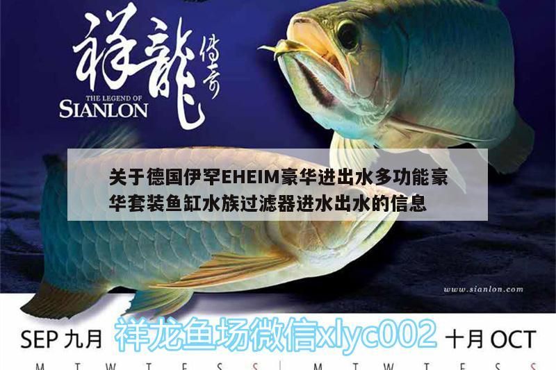 關于德國伊罕EHEIM豪華進出水多功能豪華套裝魚缸水族過濾器進水出水的信息