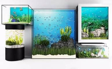 cad魚缸尺寸：cad設計魚缸尺寸選擇指南 cad魚缸尺寸：cad設計魚缸尺寸選擇指南 魚缸百科 第3張
