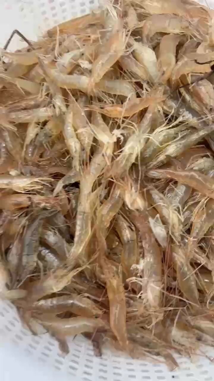 錢到位了，健康就有