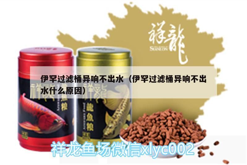 魚缸過濾器選購指南:自制魚缸過濾器魚缸上置過濾器對于養(yǎng)魚愛好者的必備知識 伊罕過濾桶異響不出水(伊罕過濾桶異響不出水什么原因) 伊罕水族 伊罕過濾桶異響不出水(伊罕過濾桶異響不出水什么原因) 伊罕過濾桶異響不出水(伊罕過濾桶異響不出水什么原因) 伊罕水族
