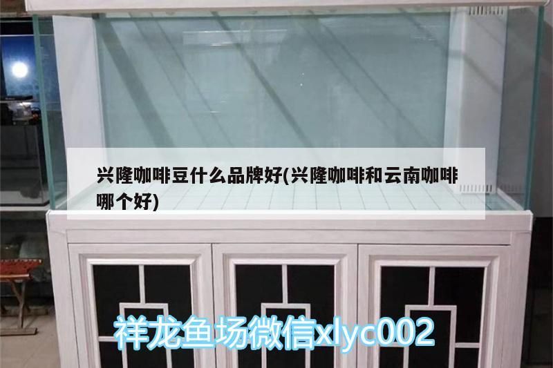 興隆咖啡豆什么品牌好(興隆咖啡和云南咖啡哪個好) 興隆咖啡豆什么品牌好(興隆咖啡和云南咖啡哪個好) 馬來西亞咖啡