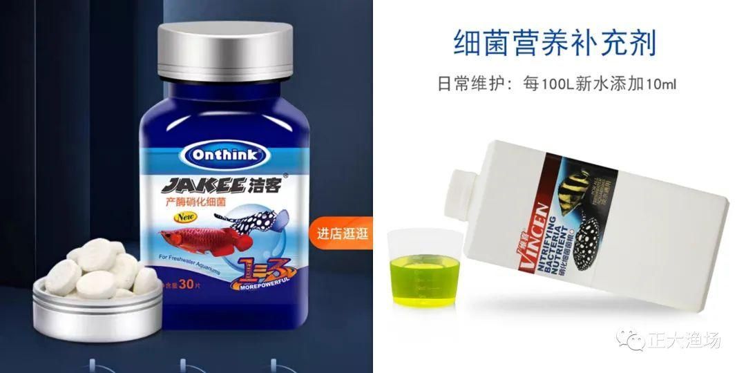 紅龍魚眼睛有白點換水加溫有用嗎：紅龍魚眼睛出現白點可能是由多種原因引起的