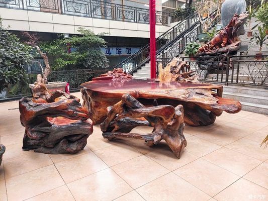 龍魚尾巴長包vs祥龍魚場：“龍魚尾巴長包”與“祥龍魚場”之間的關(guān)系