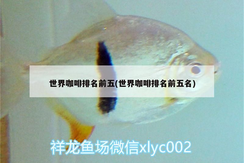 世界咖啡排名前五(世界咖啡排名前五名) 世界咖啡排名前五(世界咖啡排名前五名) 馬來西亞咖啡