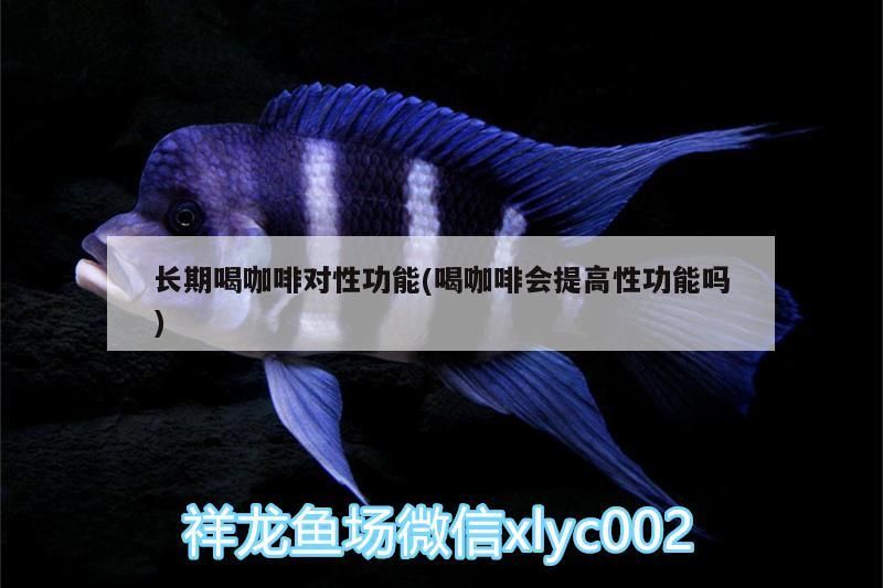 長期喝咖啡對性功能(喝咖啡會提高性功能嗎)