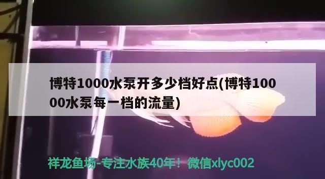 博特1000水泵開多少檔好點(博特10000水泵每一檔的流量) 博特1000水泵開多少檔好點(博特10000水泵每一檔的流量) 博特水族