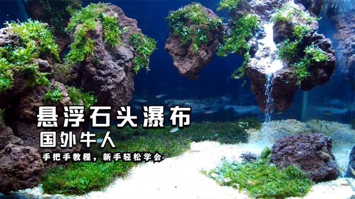 紅龍魚發色階段圖解視頻（紅龍魚發色階段圖解視頻大全）