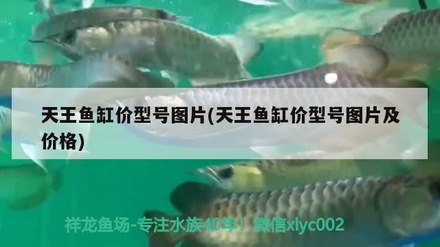 魚缸 天王魚缸價(jià)型號(hào)圖片(天王魚缸價(jià)型號(hào)圖片及價(jià)格) 金龍魚百科 天王魚缸價(jià)型號(hào)圖片(天王魚缸價(jià)型號(hào)圖片及價(jià)格) 天王魚缸價(jià)型號(hào)圖片(天王魚缸價(jià)型號(hào)圖片及價(jià)格) 金龍魚百科